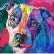 American Staffordshire Terrier
